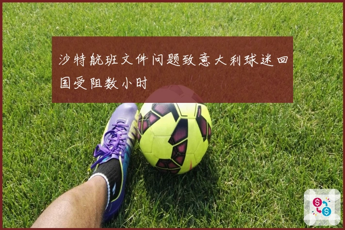 沙特航班文件问题致意大利球迷回国受阻数小时